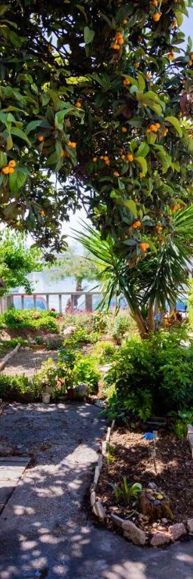Mediterranean Garden Apartements，位于克瑞罗的酒店