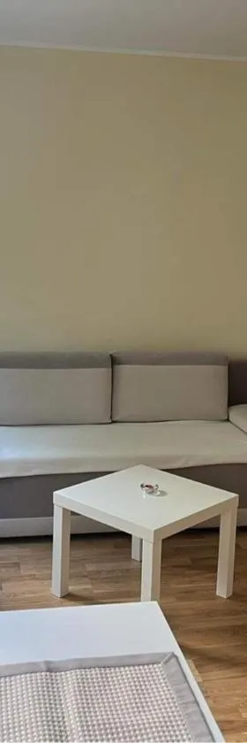 Apartament Dworcowa，位于奥尔什丁的酒店