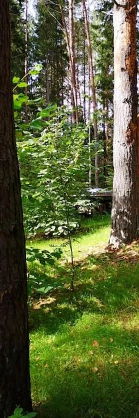 Private cosy forest cabin，位于Inturkė的酒店