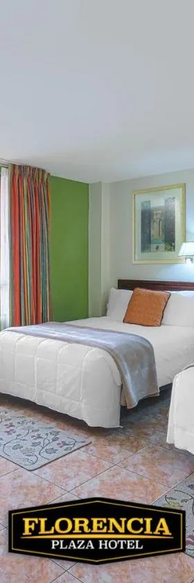 FLORENCIA PLAZA HOTEL，位于特古西加尔巴的酒店