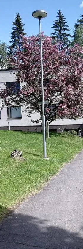 Laajavuoren majapaikka — Condo in Laajavuori，位于于韦斯屈莱的酒店