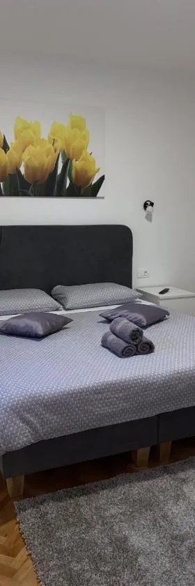 Apartment & Rooms - Marina，位于普洛切的酒店