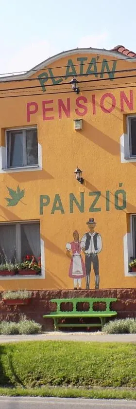 Platán Panzió，位于纽尔的酒店