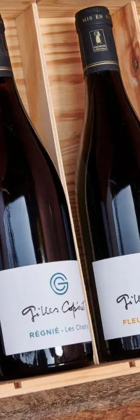 Domaine Gilles Copéret- Artisan-Vigneron- chambres d'hôtes Les Glycines -，位于Régnié的酒店