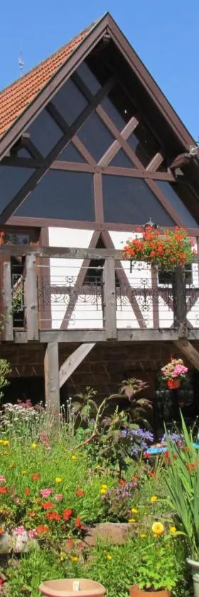 Gîte des Chateaux-forts，位于Obersteinbach的酒店