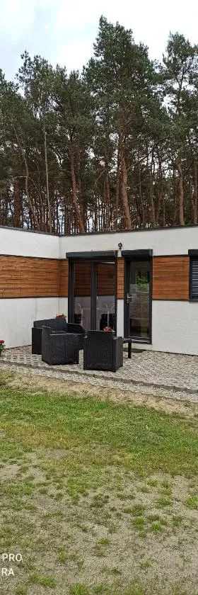 Domki pod Sosnami，位于Międzychód的酒店