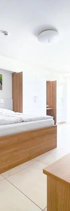 Tisza Gyöngye Apartmanok，位于塞格德的酒店