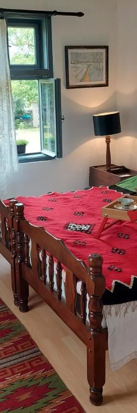 Apartmani Petkovic 226，位于Velika Drenova的酒店