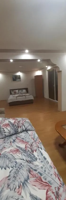Apartments Stefan Trpejca，位于奥赫里德的酒店