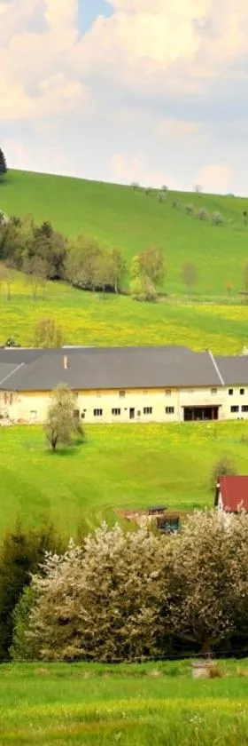Rodinný penzion Jimramovské Pavlovice až 24 osob!，位于Věcov的酒店