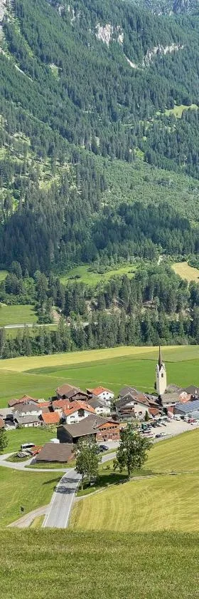 Gasthaus Beverin，位于Fardün的酒店