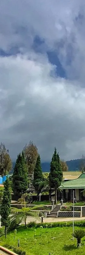 Bromo Permai 1，位于布罗莫的酒店