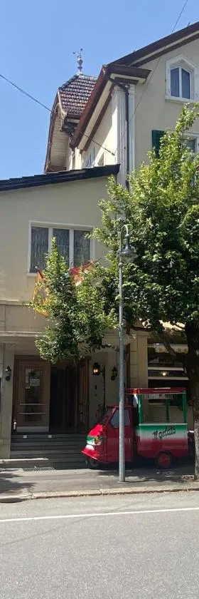 哈斯里山林小屋，位于迈林根的酒店