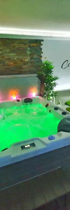 COCOON SPA-4 Pers-Jacuzzi-Parking-Jardin-Clim-Colmar，位于Holtzwihr的酒店
