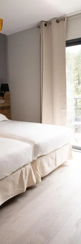 Hôtel Les Vignes，位于Chassiers的酒店