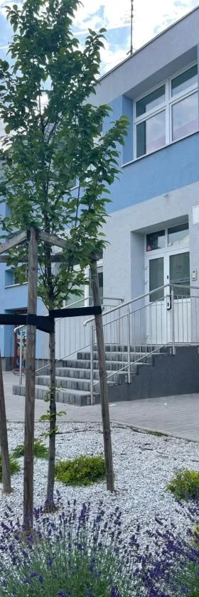 HeroHostel，位于谢拉兹的酒店