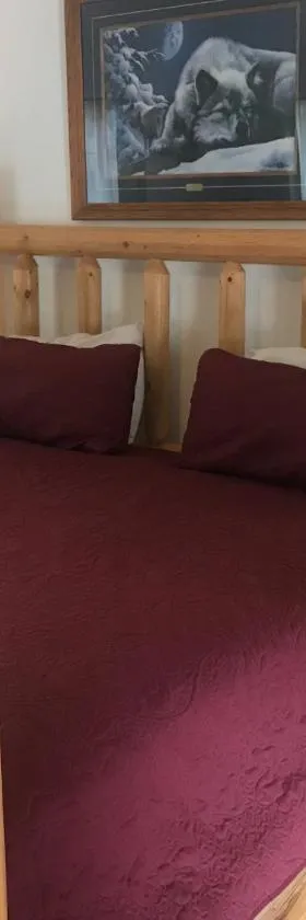 Dunsmuir Lodge，位于邓斯缪尔的酒店