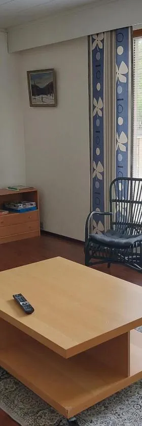 Apartment with sauna in Harjavalta, free WIFI，位于Harjavalta的酒店