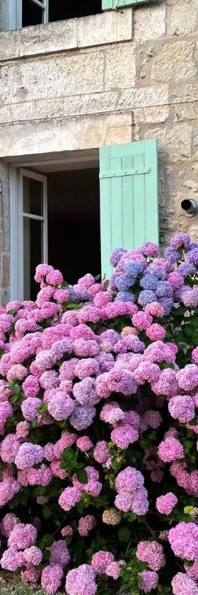 La Maison d’Hortense et Lili，位于Allemans的酒店