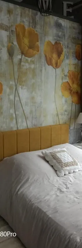 Studio Malou, cuisine, salle d'eau, terrasse amenagée，位于Olliergues的酒店