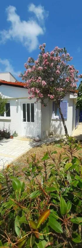 Vacation House Bimba - Pomer，位于波梅尔的酒店