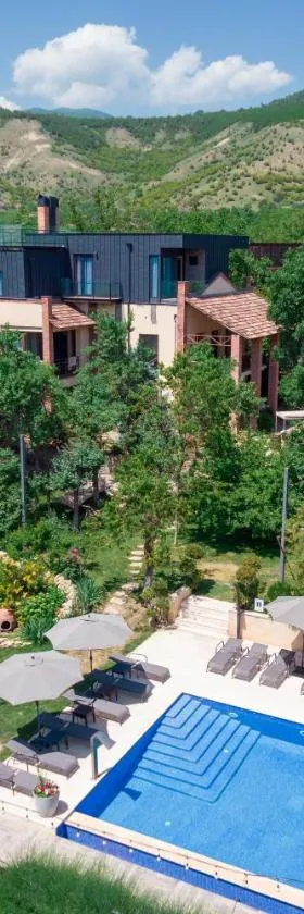 Giuaani Winery，位于Manavi的酒店