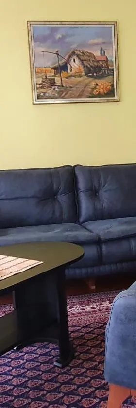 Apartment Roxana Vrdnik，位于维尔蒂尼克的酒店