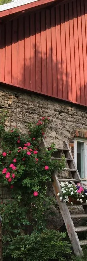 Savikulma savihuone B&B，位于Mynämäki的酒店