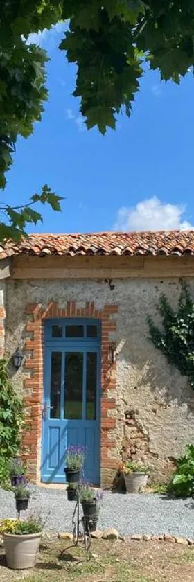 Vue du chateau a La Petite Ferme d'Alpacas，位于Sanzay的酒店