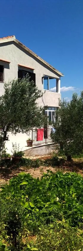 Apartment Prvic Sepurine，位于普维克瑟普瑞内的酒店