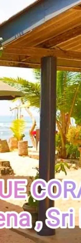Blue Corals Beach Bungalow，位于Madihe East的酒店