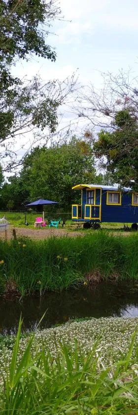 Les roulottes du Moulin de Palet，位于Chartrené的酒店
