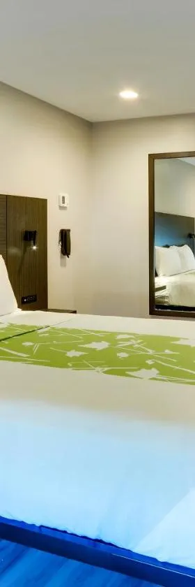 The Shamrock，位于西塞罗的酒店