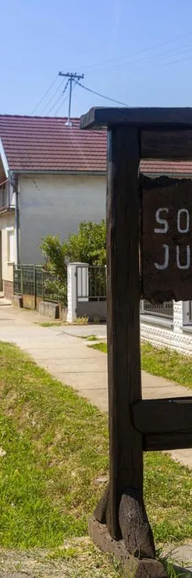 Seljačko domaćinstvo Juršić，位于Darda的酒店