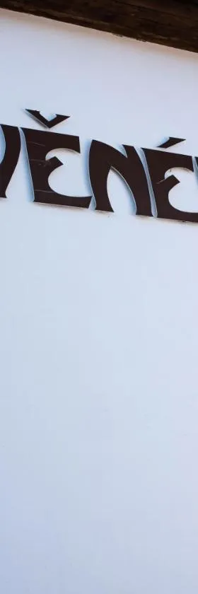 Penzion U Dřevěného ptáka，位于Protivín的酒店