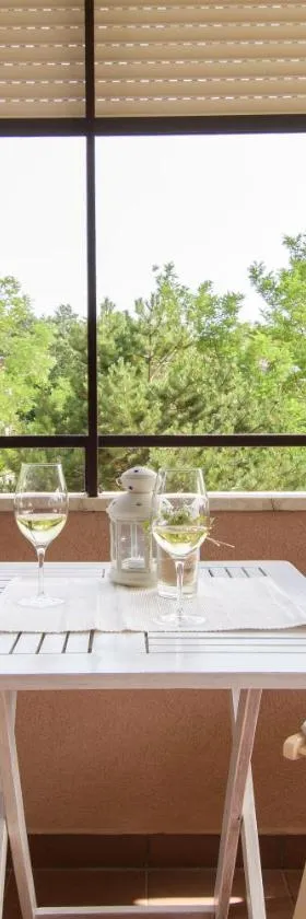 APARTMAN ALBA，位于卡里高多的酒店