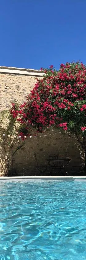Maison des Bourgades，位于Saint-Julien-de-Peyrolas的酒店