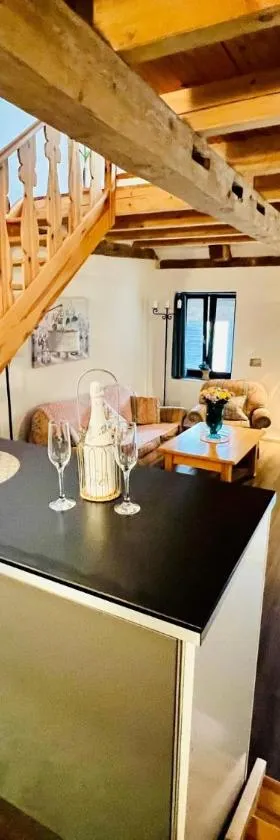Peškův mlýn - apartmán，位于Borovany的酒店