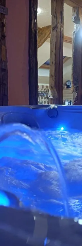 Sauna & Double Jacuzzi intérieur et sous les étoiles 1h30 Paris，位于Ladon的酒店