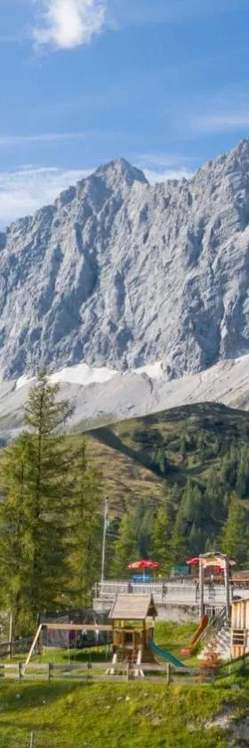 Berghotel Türlwand，位于拉姆绍达赫斯坦的酒店