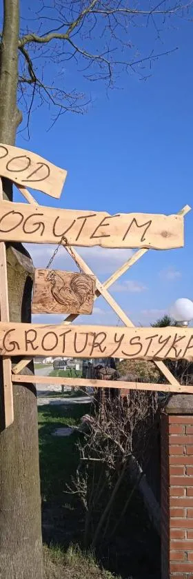 Agroturystyka Pod Kogutem，位于扎莫希奇的酒店