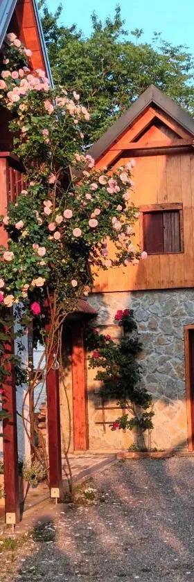 Apartman Latin 2，位于Plaški的酒店