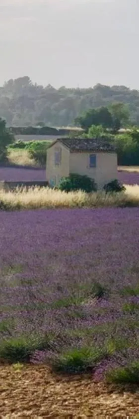 Location de vacances Rians haut Var，位于Rians的酒店
