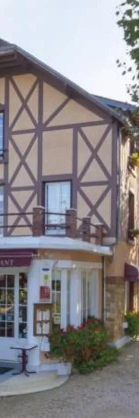 Le Chalet de la Foret Hôtel 3 étoiles et Restaurant，位于维耶尔宗的酒店