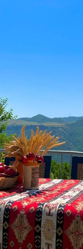 Igor Bed and Breakfast，位于Halidzor的酒店