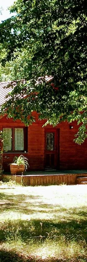 Chalet en forêt, brame du cerf，位于Valpuiseaux的酒店