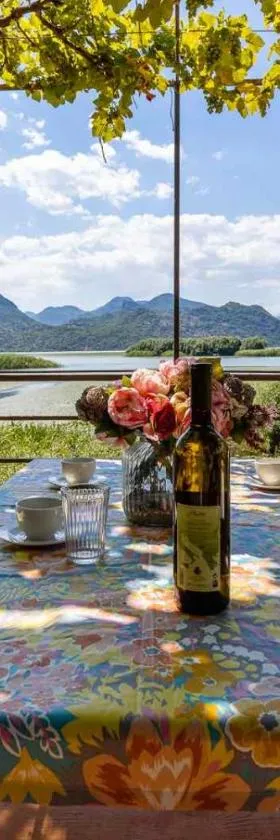 Lake House Buric，位于Vranjina的酒店