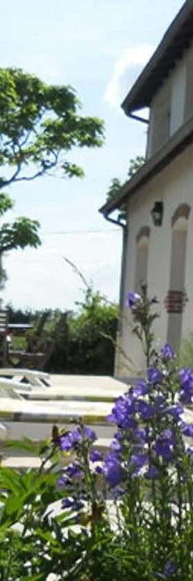 Le Domaine Augenaies Maison d hôtes et Spa，位于Mercy的酒店