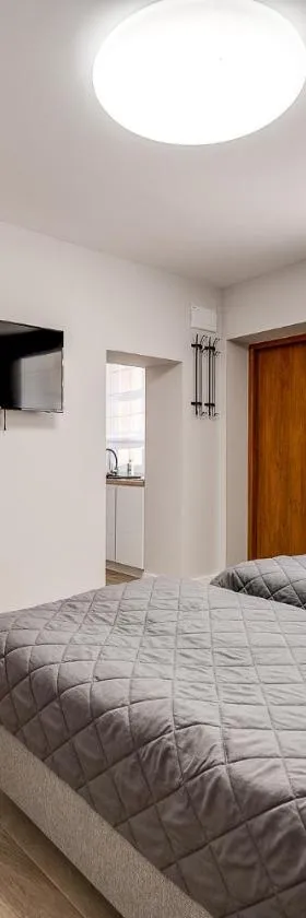 Central Platinum Apartments 20，位于雷布尼克的酒店