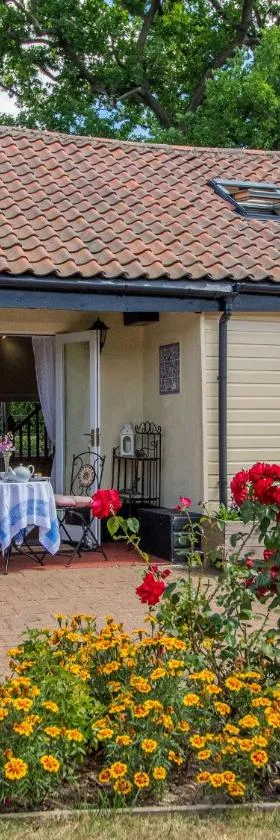 Norbank Cottage，位于Bressingham的酒店